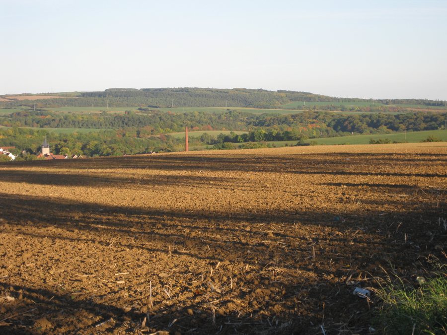 Forstberg (Dün) 01