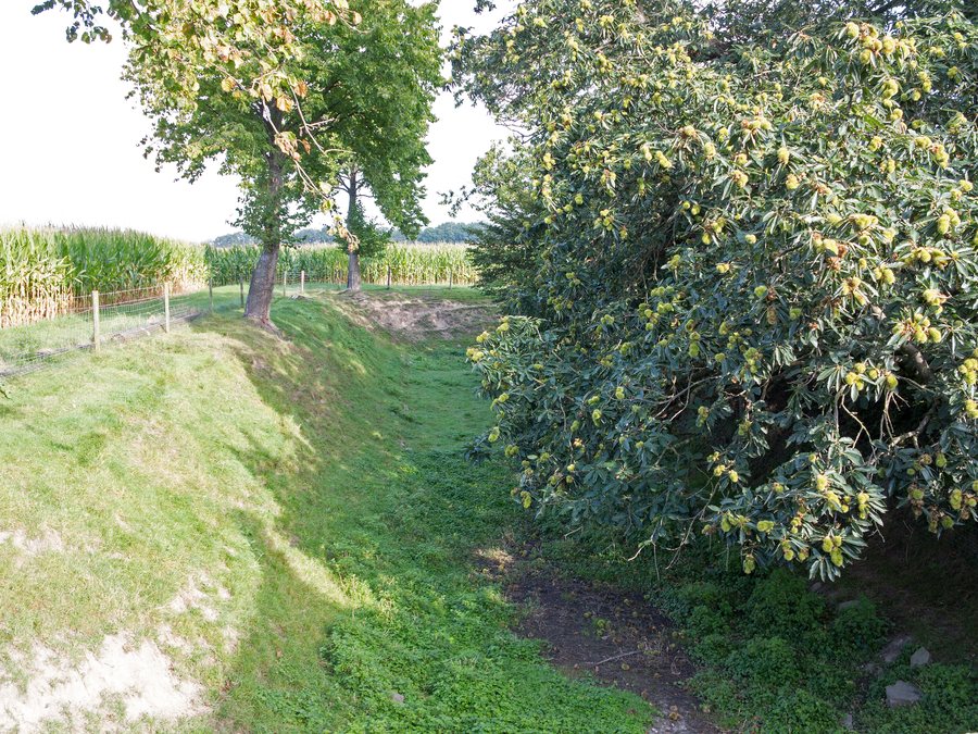 File:2021 09 20 Grabenanlage Routenburg (Tönisvorst) (1).jpg