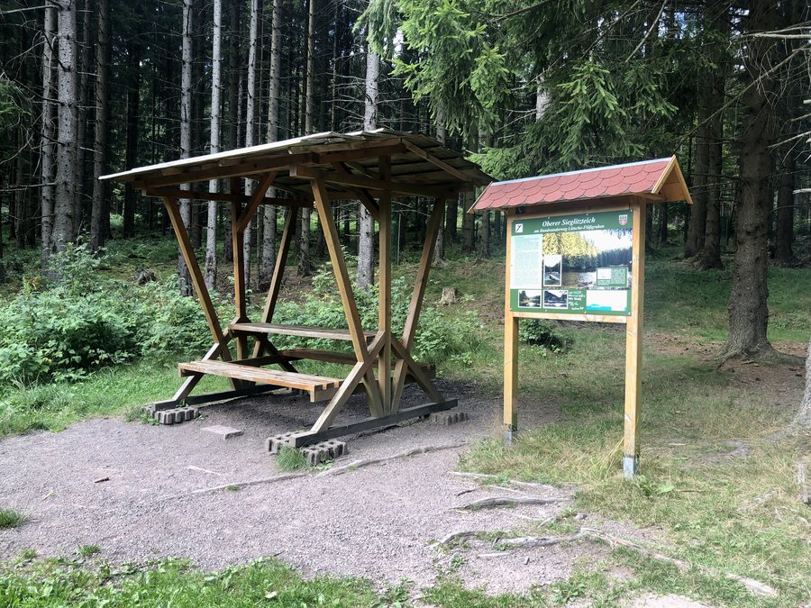 File:Picknickplatz - Oberer Sieglitzteich - Frankenhain - 2024-08-11.jpeg