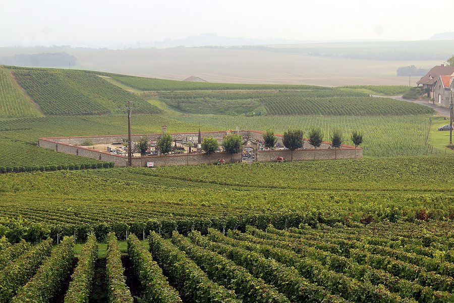 File:Villers-Allerand, cemetery midst vineyards.JPG