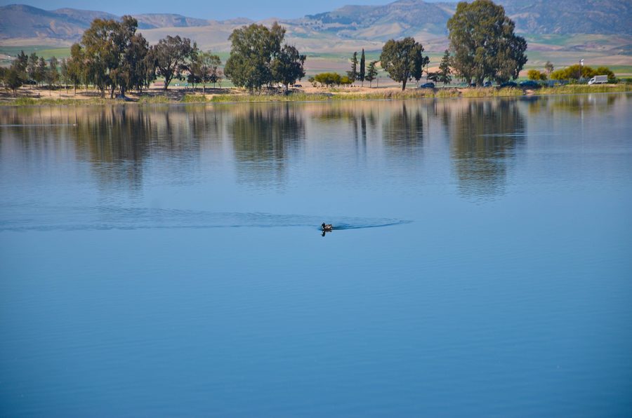 Reservoir landscape near Sidi Bel Abbès