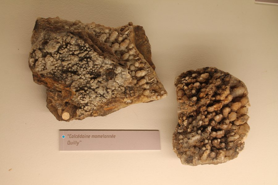 File:Muséum de Nantes - 400 - Calcédoine mamelonnée (Quilly).jpg