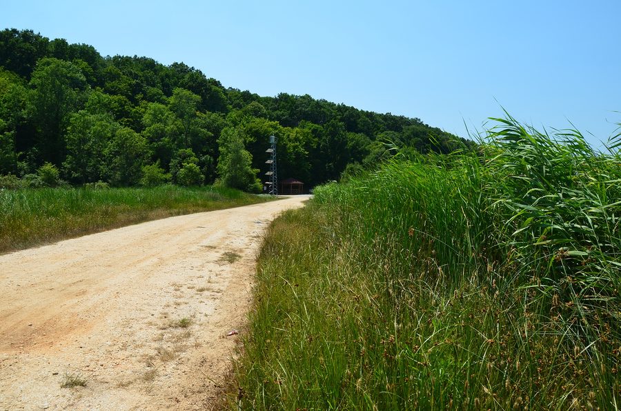 View into the national park of the İğneada floodplain forests in İğneada, province of Kırklareli