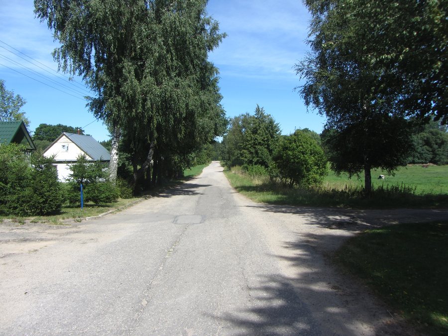 Kaimynai, Lithuania - panoramio (1)