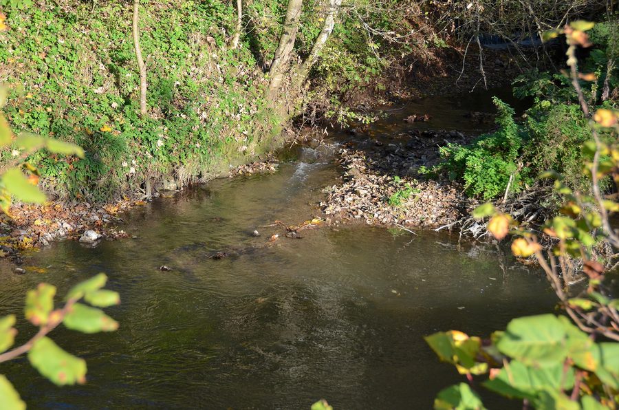 Mouth of the Talbach into the Eyach near Grosselfingen