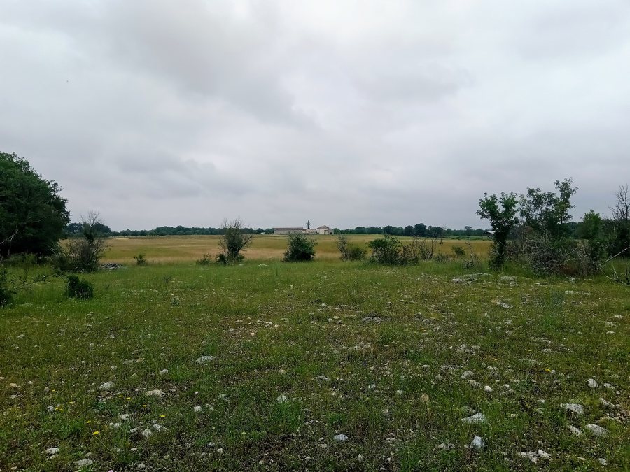 File:Lalbenque landscape.jpg