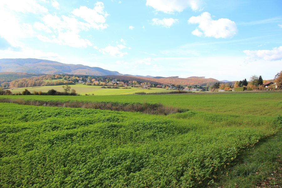 Blick auf Siegenfeld in der Gemeinde Heiligenkreuz, Niederösterreich