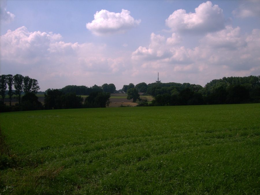 Landscape of the Osterholzer Geest near Wallhöfen in the municipality of Vollersode