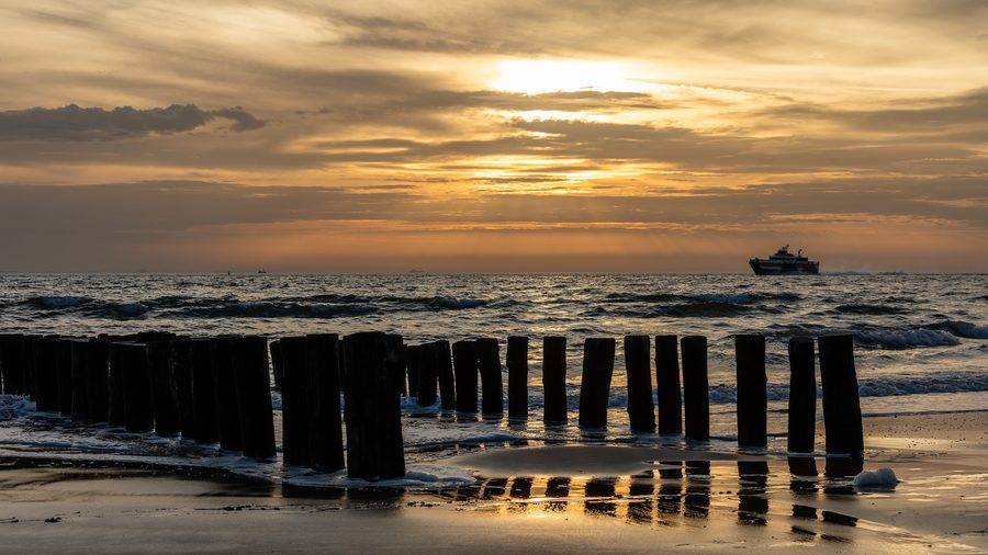 Beach with groynes and a view of the Westerschelde in Zoutelande, Zeeland