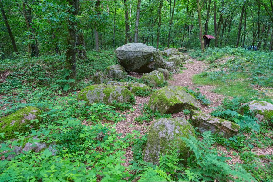 Megalithic tomb at Old Freren Forest near Freren in Lower Saxony
