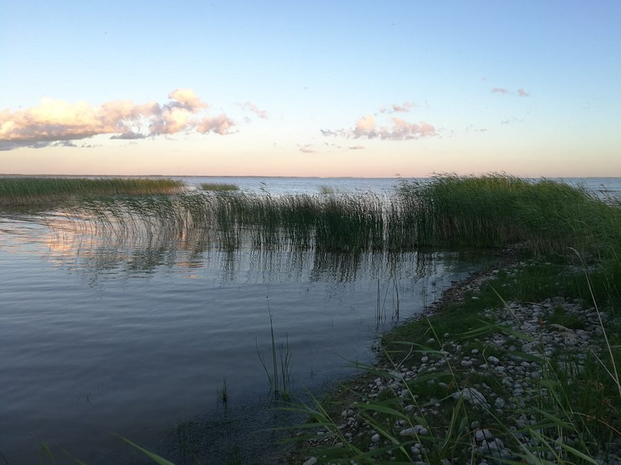 View from Vaibla onto the open Võrtsjärv