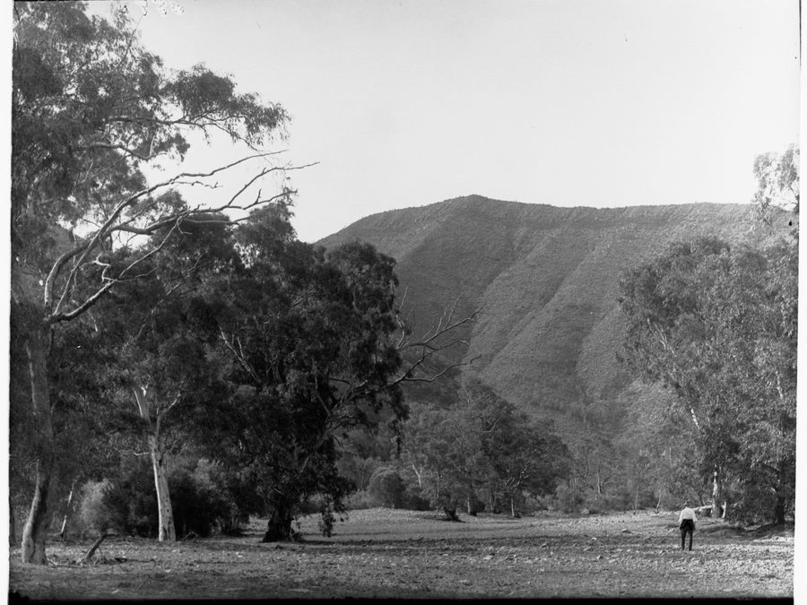 Arid Flinders Ranges landscape at Aroona Heights near Leigh Creek