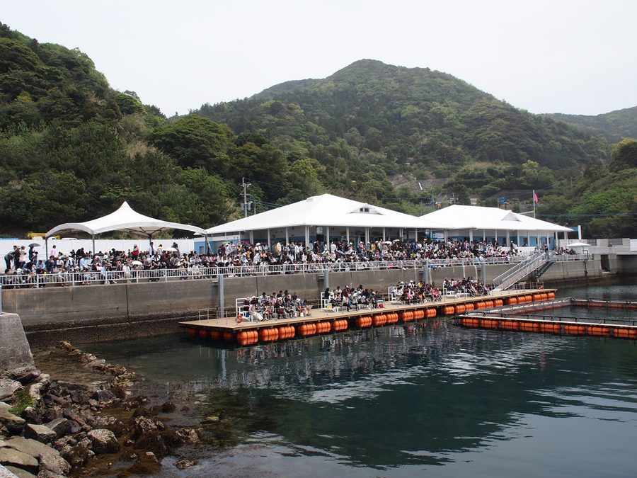 Tsukumi Dolphin Island in Tsukumi, Ōita, Japan