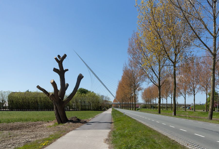 Calatrava bridge de Harp over the Hoofdvaart in Nieuw-Vennep