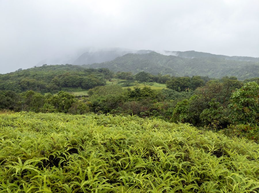 Tahiti in French Polynesia