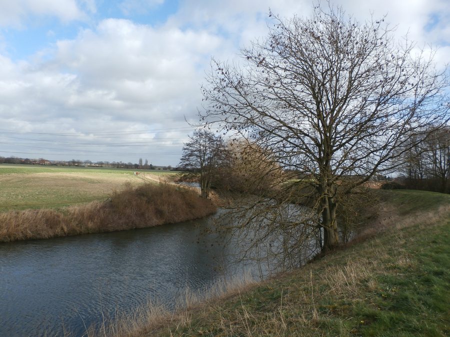 The River Idle at Misterton Soss