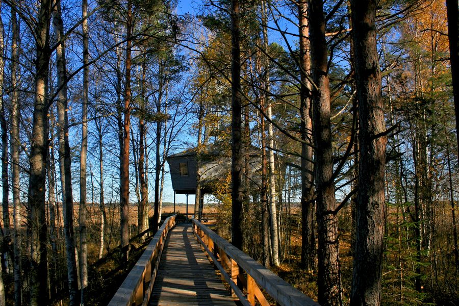 Large birdwatching tower in Store Mosse National Park
