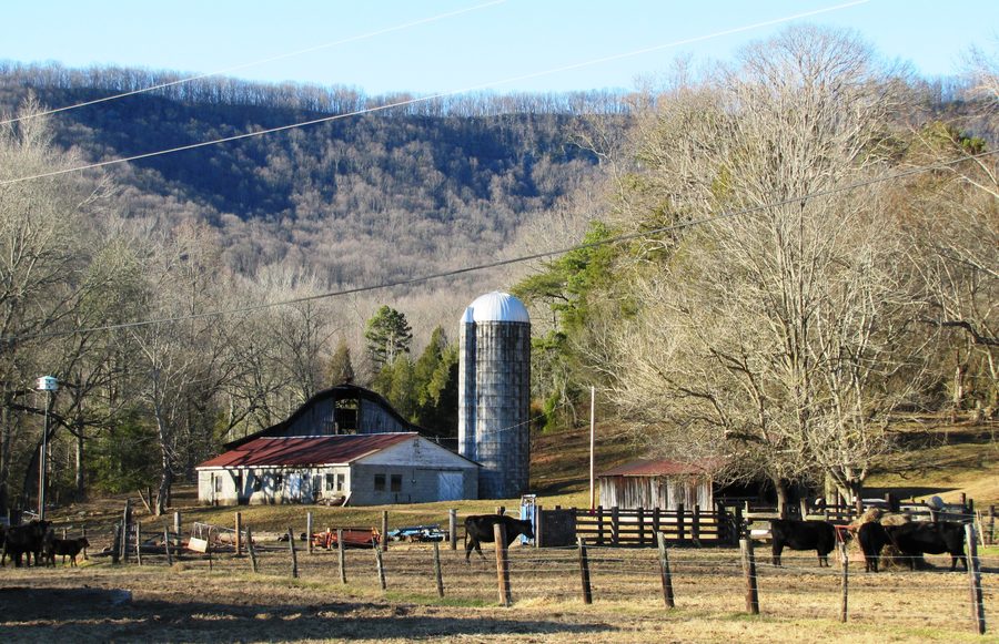 Valley View Farm in Harriman with Walden Ridge in the background