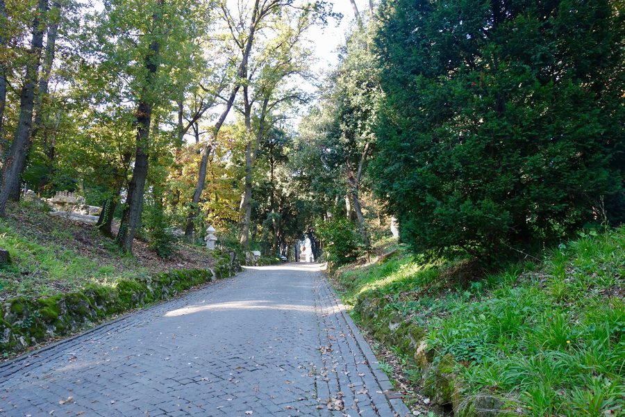 Green grounds in Vatican City