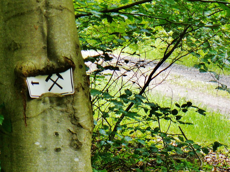 Path to the Frischglück visitor mine in Neuenbürg