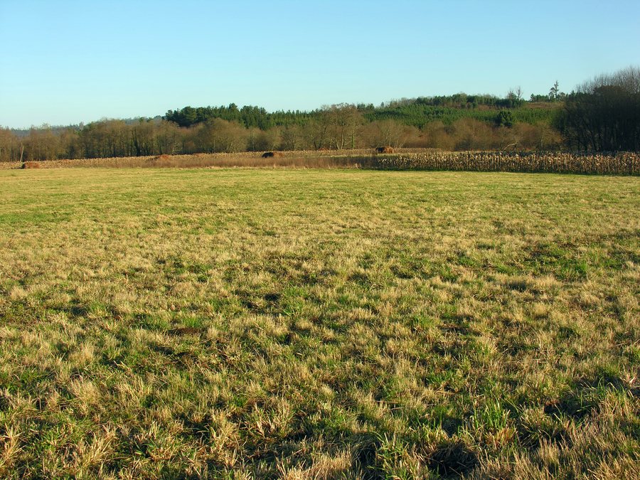 File:Sigueiro Oroso Galiza 4.JPG
