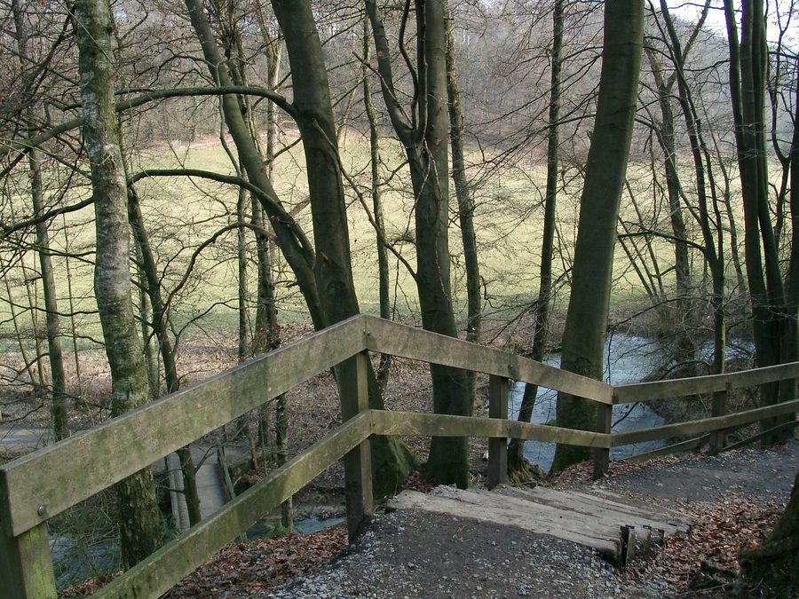 Treppe eines Weges entlang der Düssel im Neandertal bei Erkrath und Mettmann