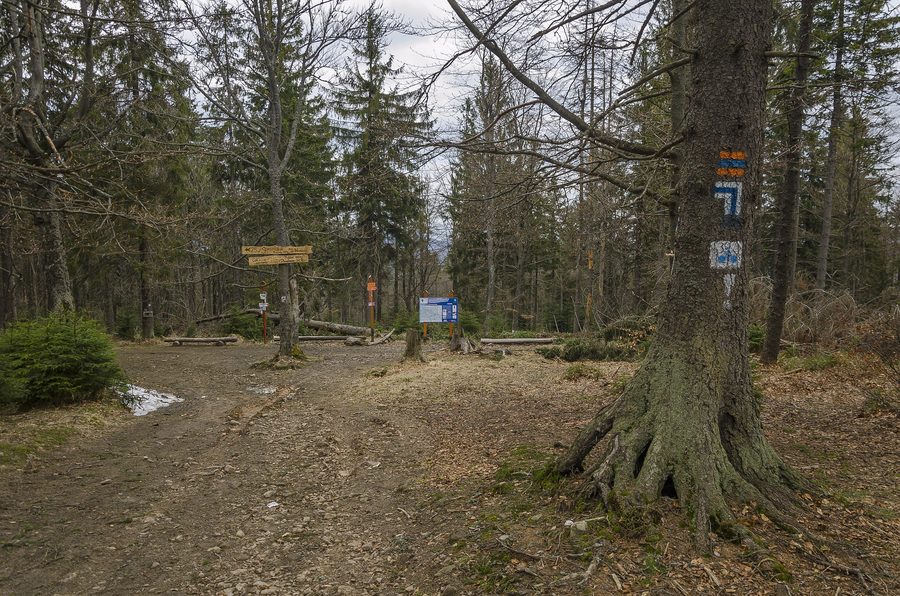 Landscape in Gmina Łabowa, Poland