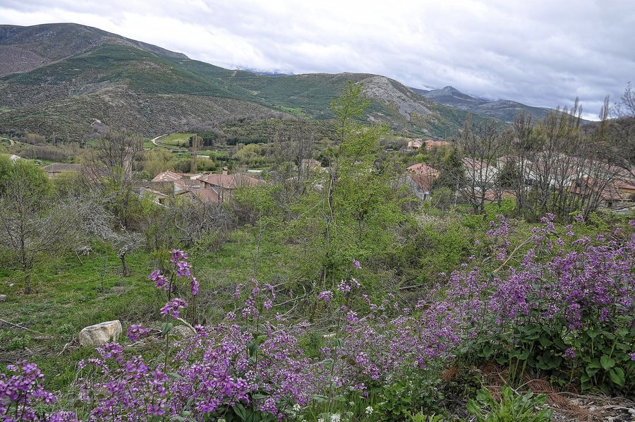 File:Navacepeda de Tormes (17372253875).jpg