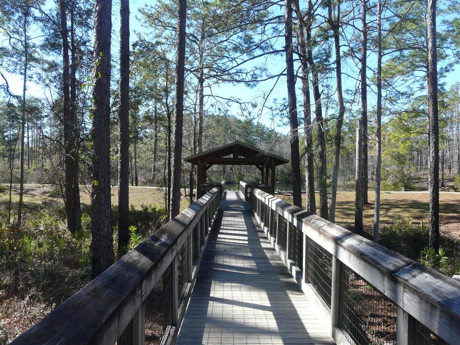 Boardwalk bridge over a small ravine at Falling Waters State Park