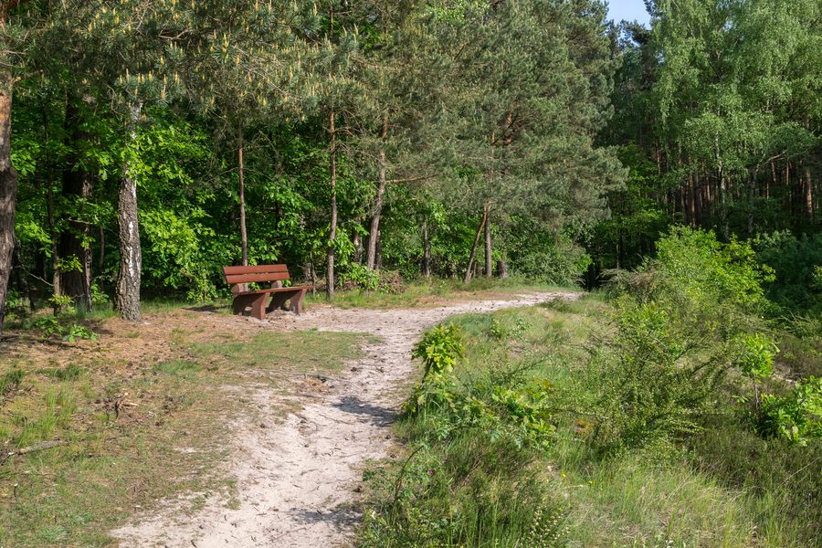 Naturschutzgebiet Ölbachtal mit Augustdorfer Dünenfeld bei Augustdorf im Kreis Lippe