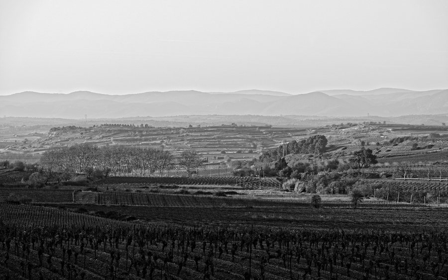 File:Landscape in Capestang BW cf01.jpg