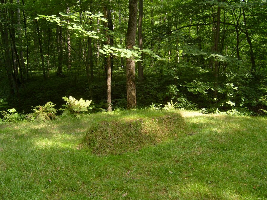 Leo Tolstoy’s grave in the park of Yasnaya Polyana