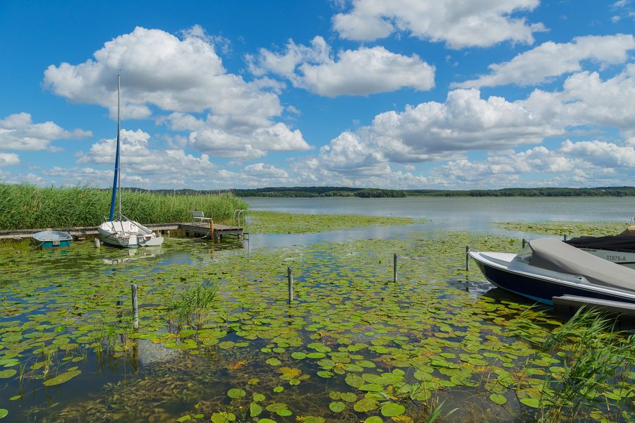 View across Lake Malchiner See near Bülow in the Rostock district