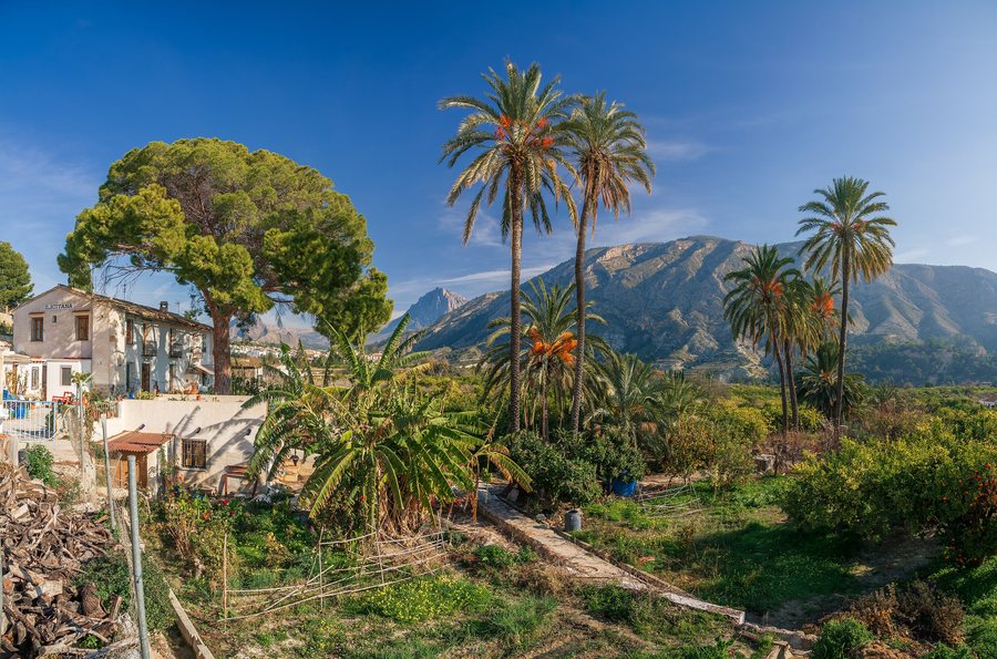 File:Garden landscape in Orxeta, Alicante, Valencia, Spain, 2020 January.jpg