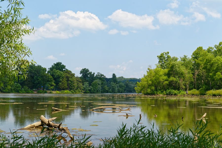 Cove Lake State Park im Campbell County, Tennessee, USA