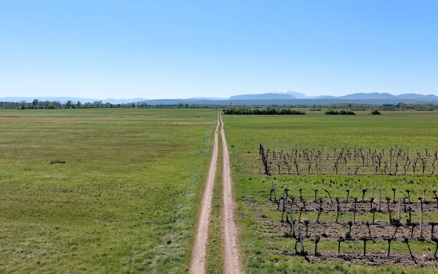 Rural path between meadows in the municipality of Günselsdorf in Lower Austria