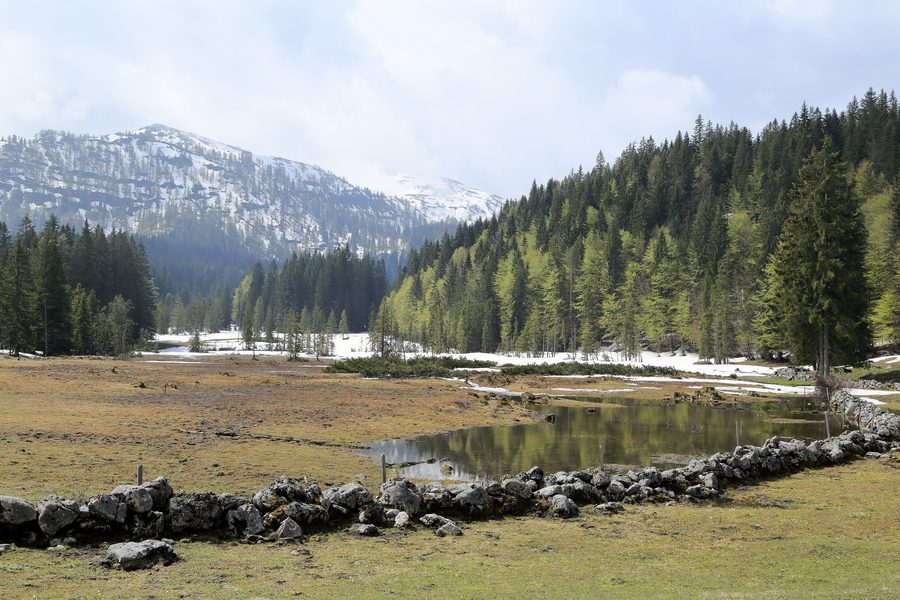 Landscape on the Hemmersuppenalm above Reit im Winkl