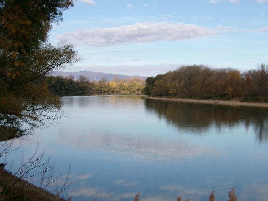 View of the Danube on the Szentendrei-sziget near TahitĂłtfalu