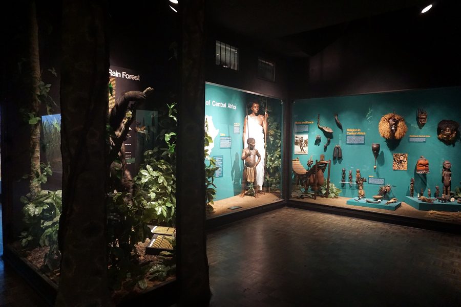 Display case in the Milwaukee Public Museum with an area about Central Africa.
