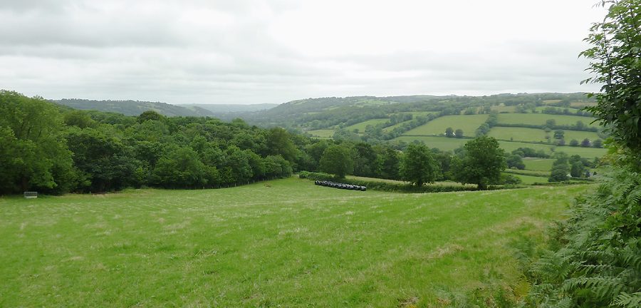 Aeron Valley landscape near Llangeitho, Ceredigion