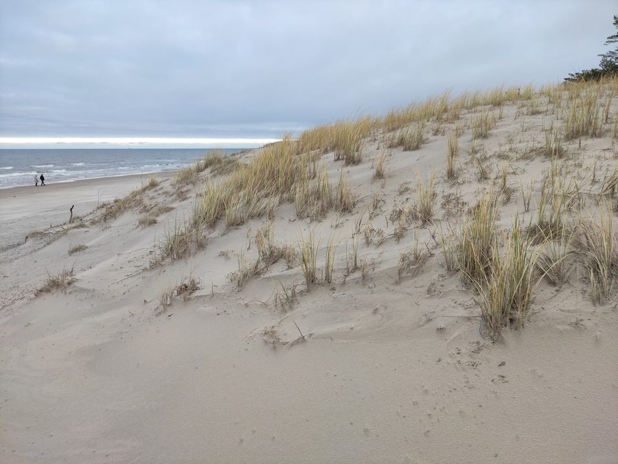 Beach on the Mierzeja Sarbska near Łeba