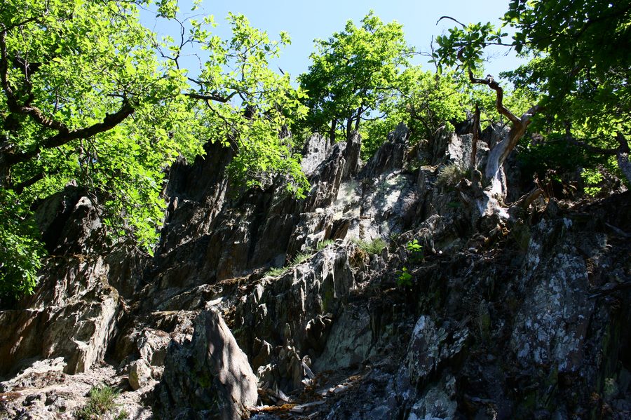 Felsige Landschaft der Caaner Schweiz in Caan im Westerwaldkreis