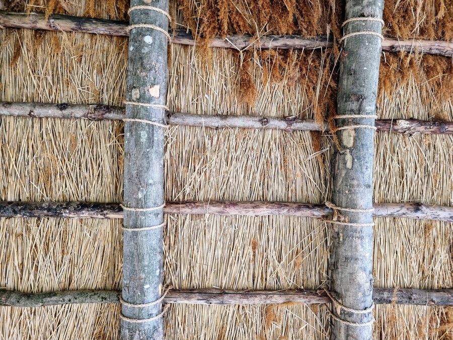 Detail of a roof at the prehistoric settlement of Pestenacker