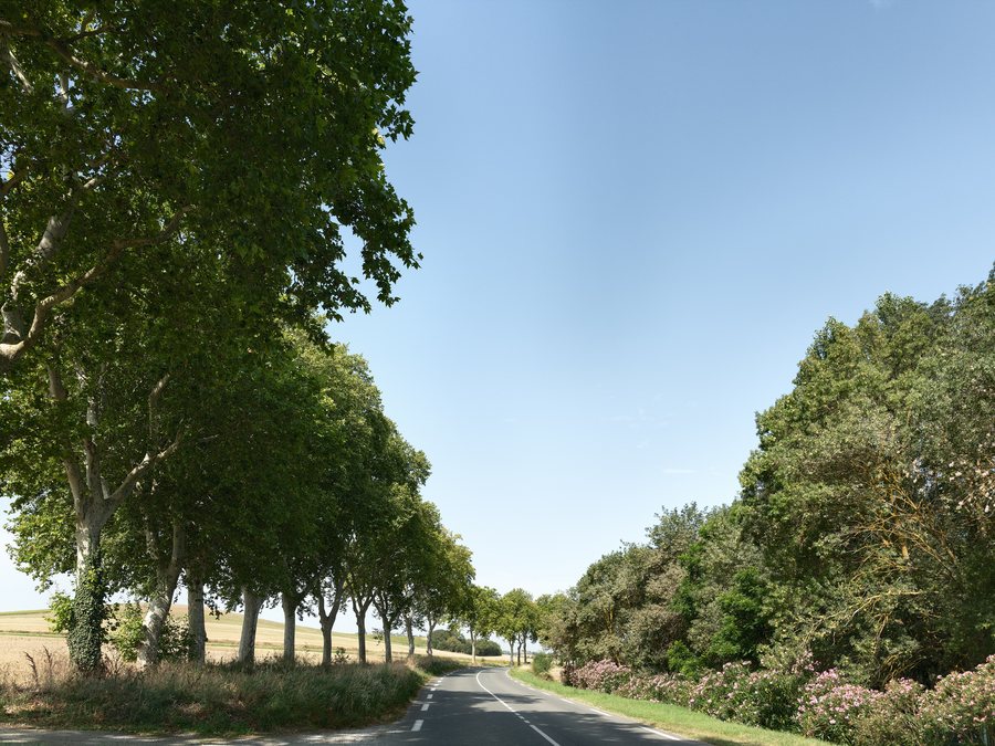 File:D119 - La Force, France - July 30, 2024 01.jpg