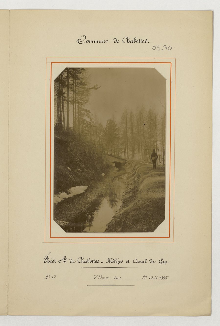 File:Forêt communale de Chabottes (mélèzes et canal de Gap) - Perrot - btv1b10684903x.jpg