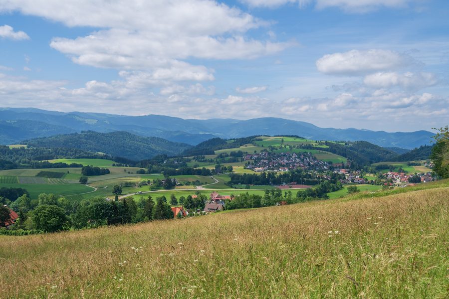 View of Sankt Peter in the High Black Forest amid the Black Forest landscape