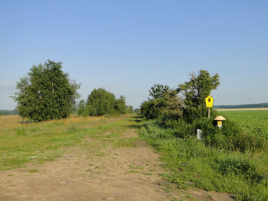 File:Dechow Mustin ehemalige innerdeutsche Grenze 2011-07-10 004.JPG