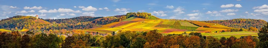 Burg Wildeck über Abstatt und dem oberen Schozachtal