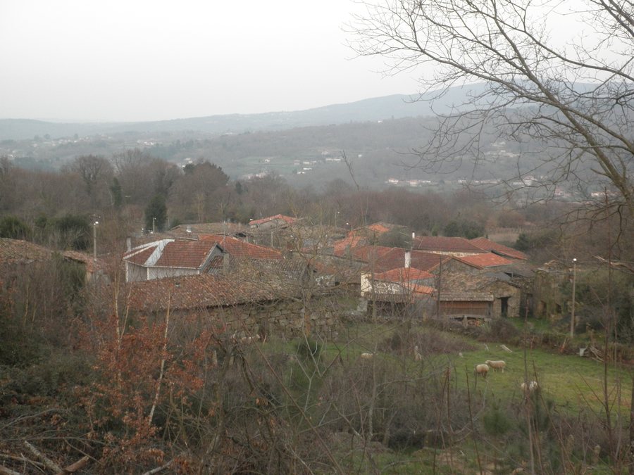 File:Vista panorámica da aldea de Feal de Ansemil, Celanova.JPG