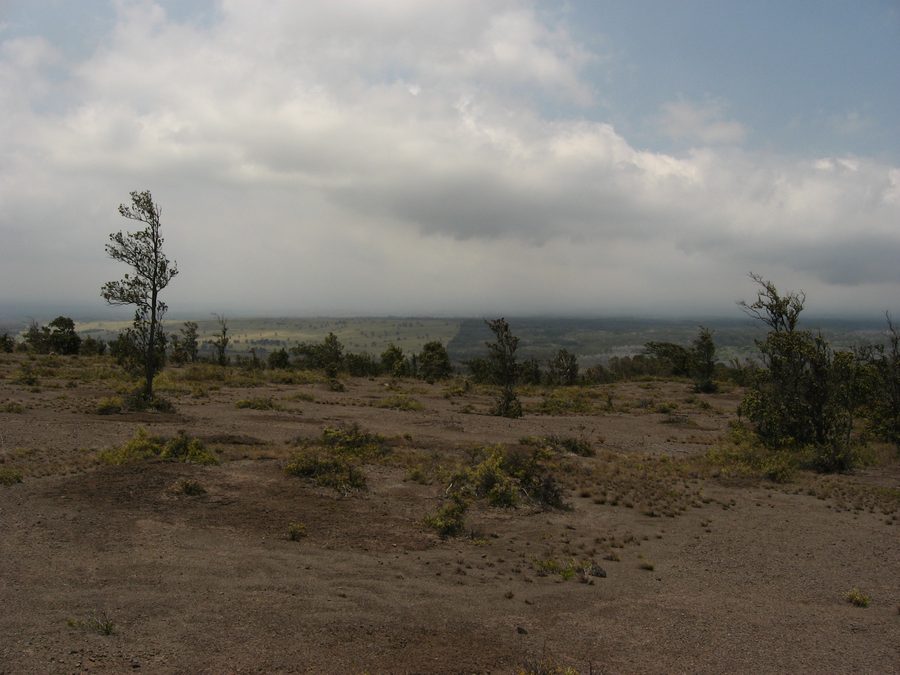 Sparse volcanic landscape in Hawaiʻi Volcanoes National Park on Hawaiʻi Island